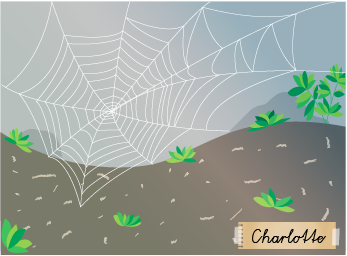 Terrarium mit Spinnennetz